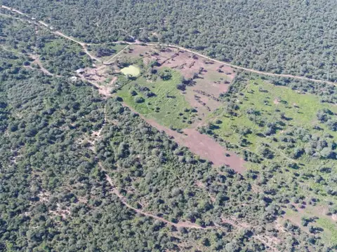 ÚNICA estancia de monte sobre ruta