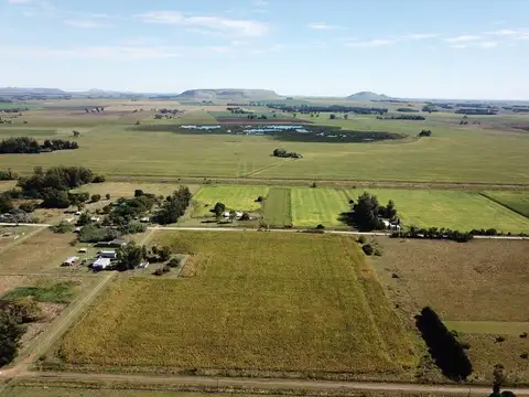 Camino Provincial 008-03