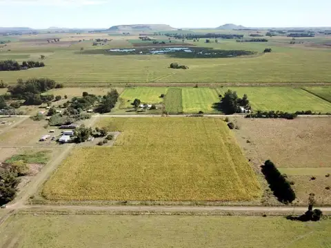 Campo en venta - 40.000Mts2 - Balcarce