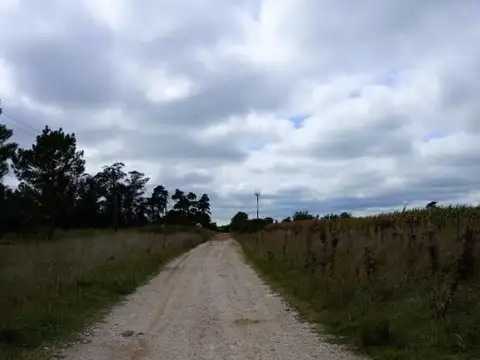 Campo en venta - 40.000Mts2 - Balcarce