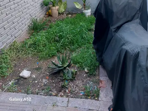 Depto Tipo Casa en Alquiler de 2 ambientes