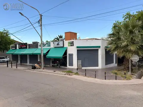 Los Carolinos 500