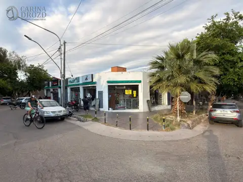 Los Carolinos 500