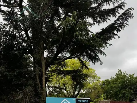 GOBERNADOR ARANA al 1400