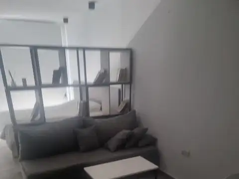 Mono impecable en san telmo