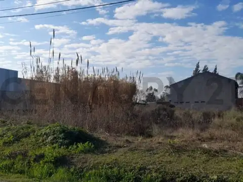 LOTES EN VENTA UBICADOS EN 133 ENTRE 518 Y 519.