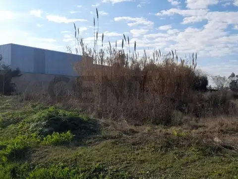 133 ENTRE 518 Y 519 , Piso 0
