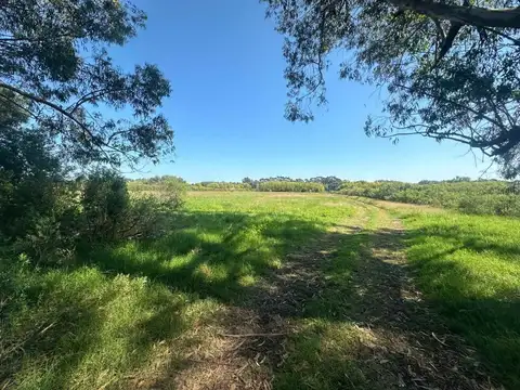 Terreno en Venta de 4024,0 m2