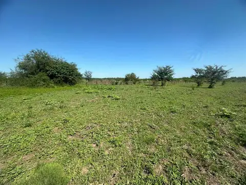 Terreno en Venta en Francisco Alvarez, USD 40.000