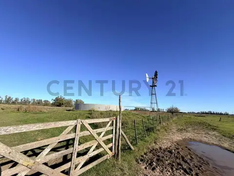 CAMPO VENTA 37 HECTAREAS GENERAL LAS HERAS