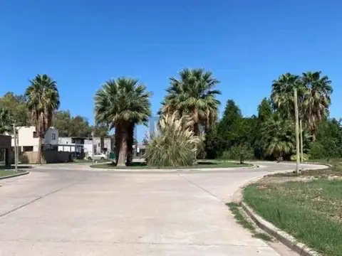 SANTA ISABEL, C S/N, El Sauce, Mendoza