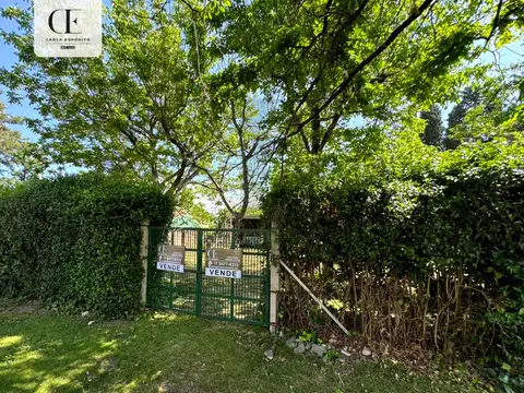 Recarte 532 Monte 100