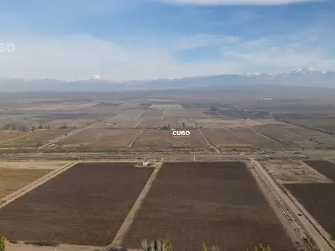 47 hectareas de campo con gran Frente en Ruta Nacional 40 (Acceso Sur) Ugarteche Lujan de Cuyo