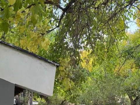 Casa en Alquiler 50 años