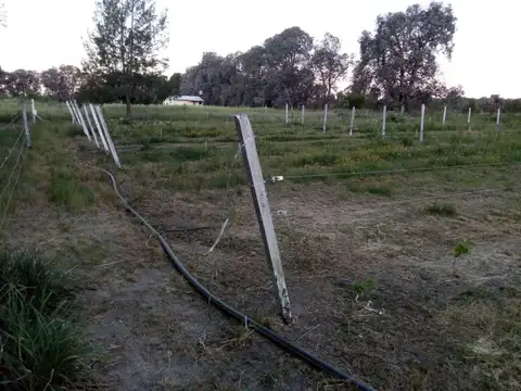 VENTA TERRENO 7 HECTAREAS EN LA CAPILLA F.VARELA