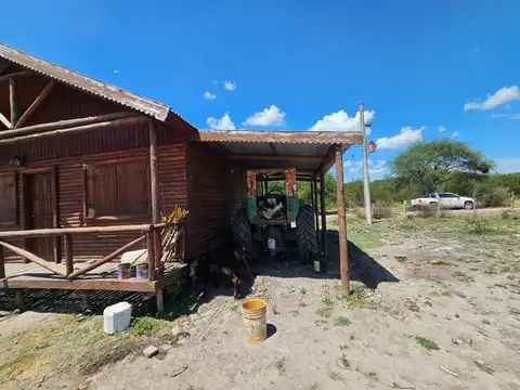Campo en Venta Ganadero