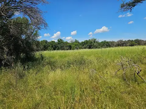 Campo en Venta Ganadero