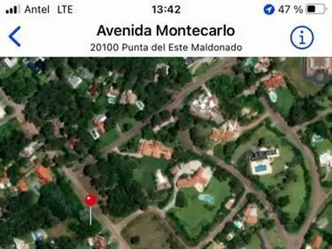 Parada 16 100
