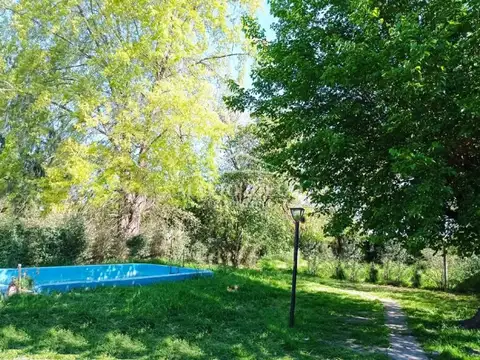 Suipacha 100
