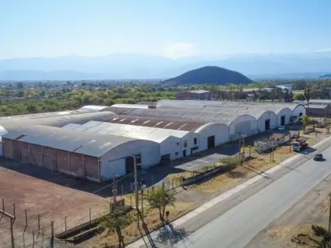 Parque Industrial Avenida Rodriguez Durañona S/N 100