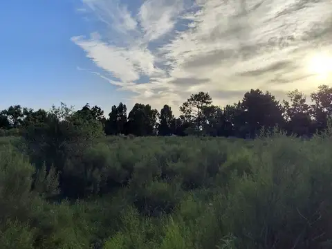 Terreno en Venta en Colonia Del Sacramento, USD 50.000