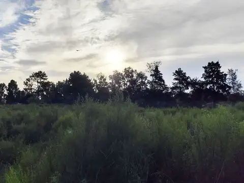 Isidoro Ricardo Rivas Erguiz