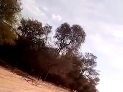 Campo 1000 Ha Depto. Rivadavia Salta 100