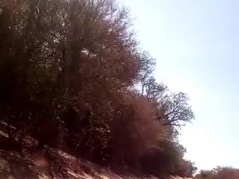 Campo 1000 Ha Depto. Rivadavia Salta 100