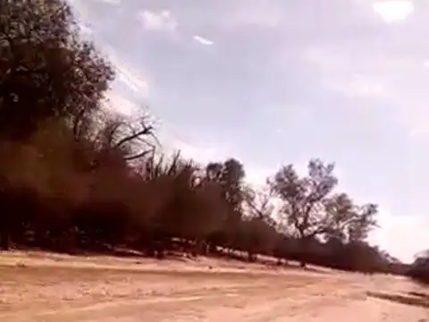 Venta campo ganadero Salta Rivadavia oportunidad