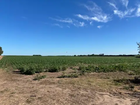 Santa Lucía 5000
