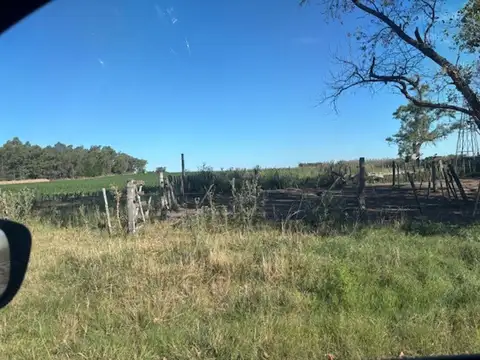 Campo en Venta Agrícola