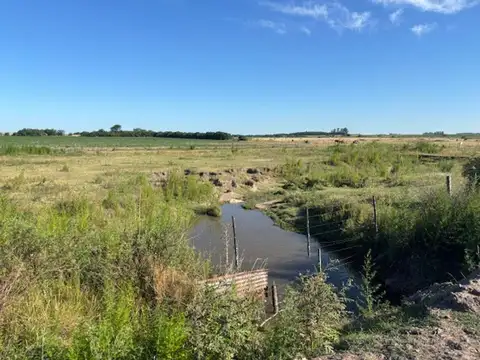 Campo en Venta Agrícola