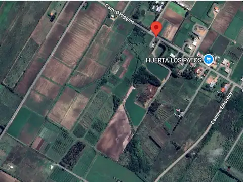 Camino O'Higgins 9200