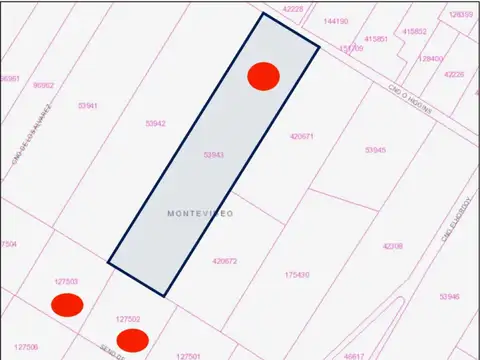 VENTA DE CHACRA DE 11 HECTÁREAS ZONA PAJAS BLANCAS