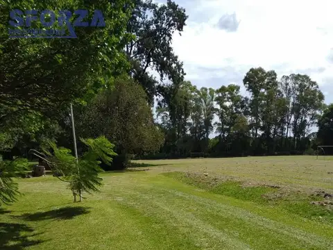 Dalmasio Sanchez al 1500