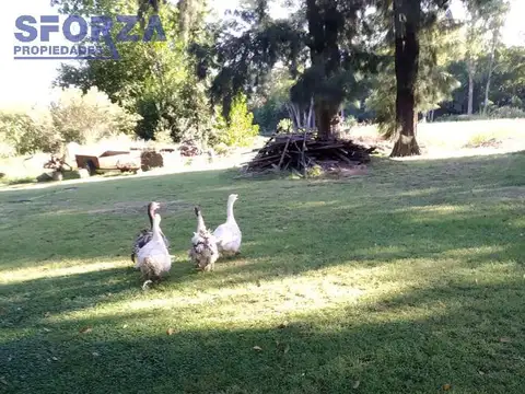 Quinta en Venta A Estrenar