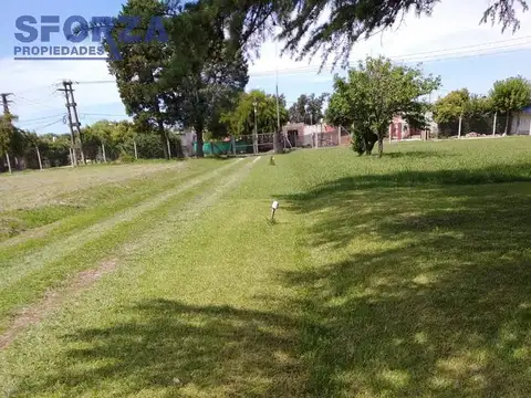 Quinta - Trujui