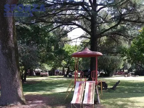 Quinta - Trujui