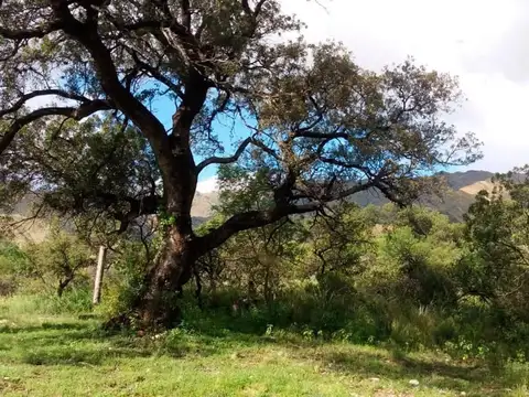 Terreno en Venta de 2000,0 m2