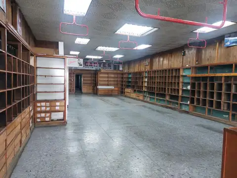 LOCAL    FTE MUNICIP 300 M2  P.B. Y PISO 150 M2 LOTE 8.66x39