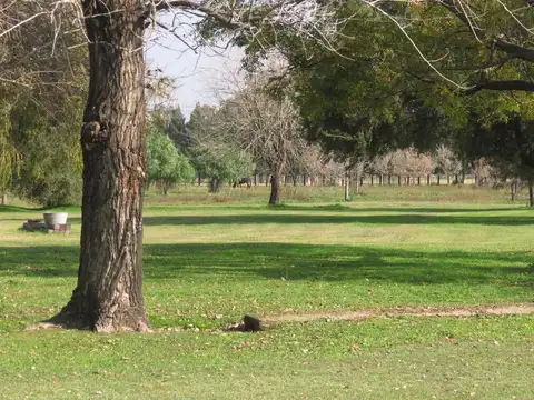 Lote Bosque El Campo, Fincas Exclusivas de Cardales