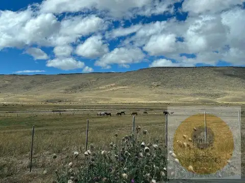 campo en  venta pilcaniyeu