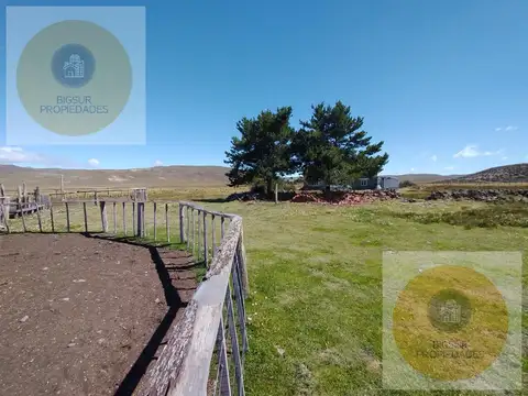 campo en  venta pilcaniyeu