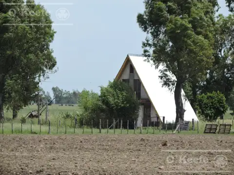 Campo Ganadero - 58 has Sobre Ruta N° 29