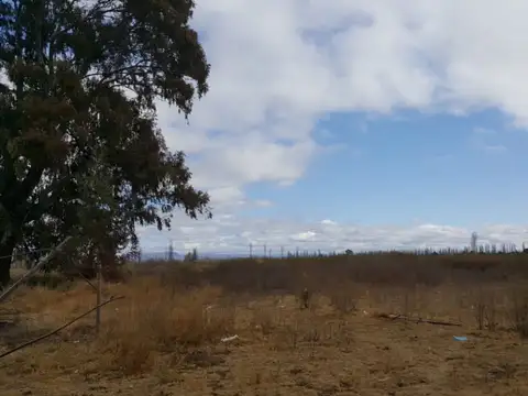 FINCA VENTA en LOS CLAVELES, SAN RAFAEL, MENDOZA