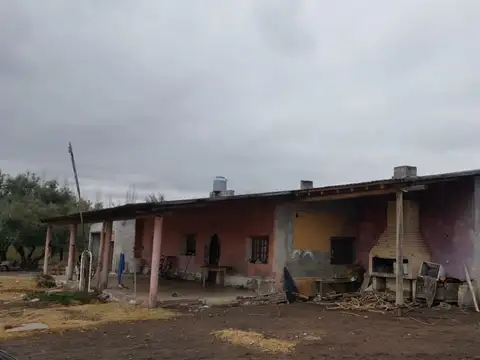LA ESCUELA S/N 100