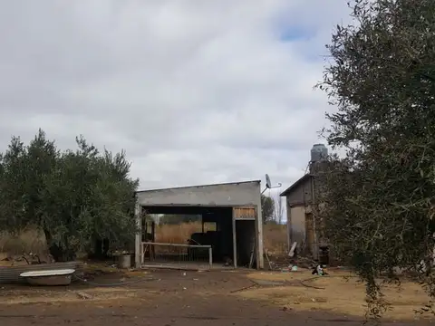 FINCA VENTA en LOS CLAVELES, SAN RAFAEL, MENDOZA