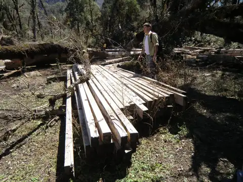 72.000 hectáreas con excepcional potencial forestal, energético y minero