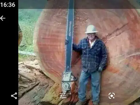 72.000 hectáreas con excepcional potencial forestal, energético y minero