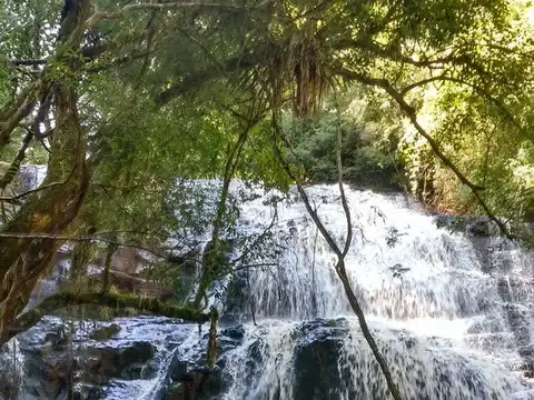 74.000 has Los Toldos-Santa Victoria Oeste, Salta